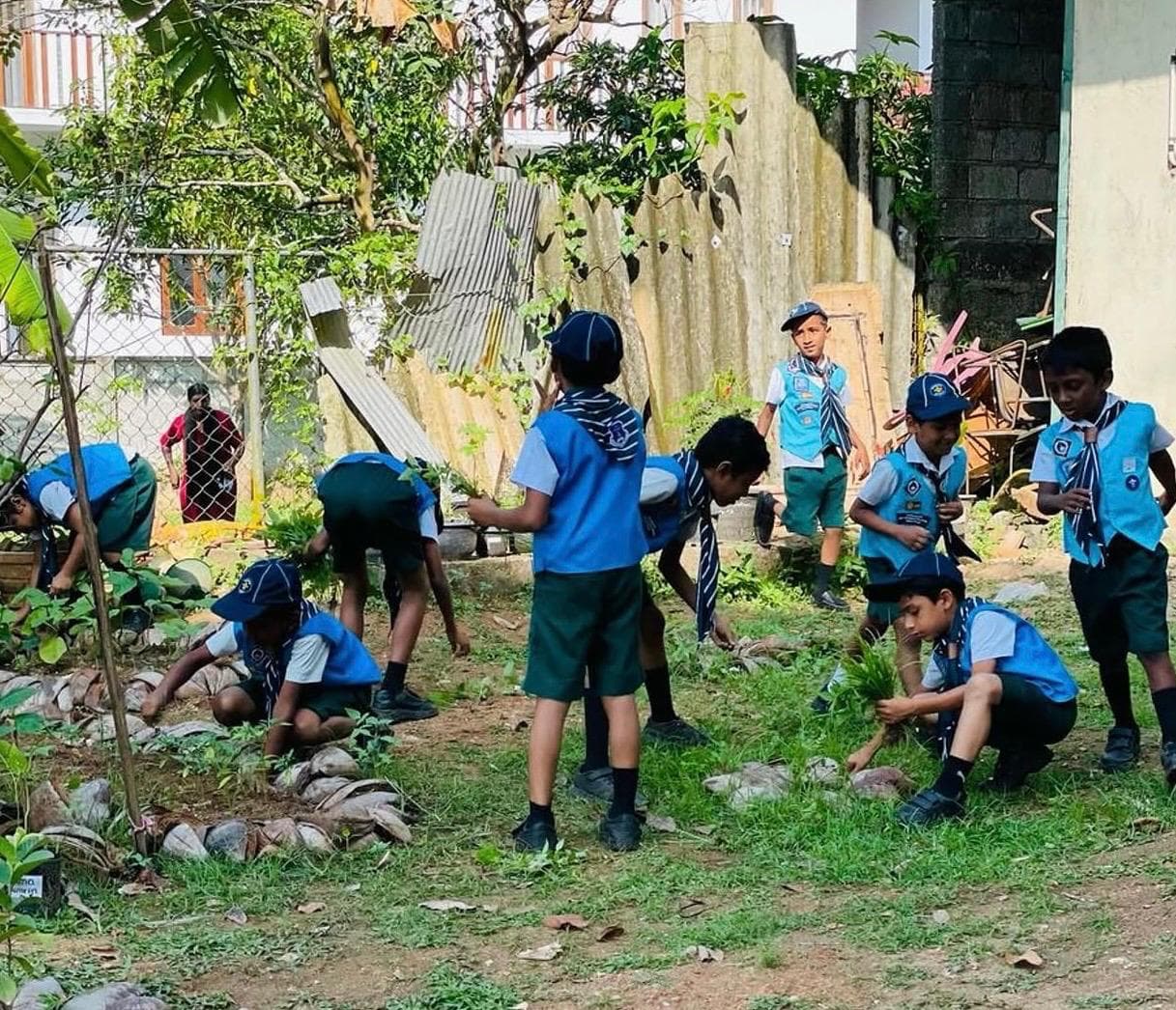 Singithi Scouts